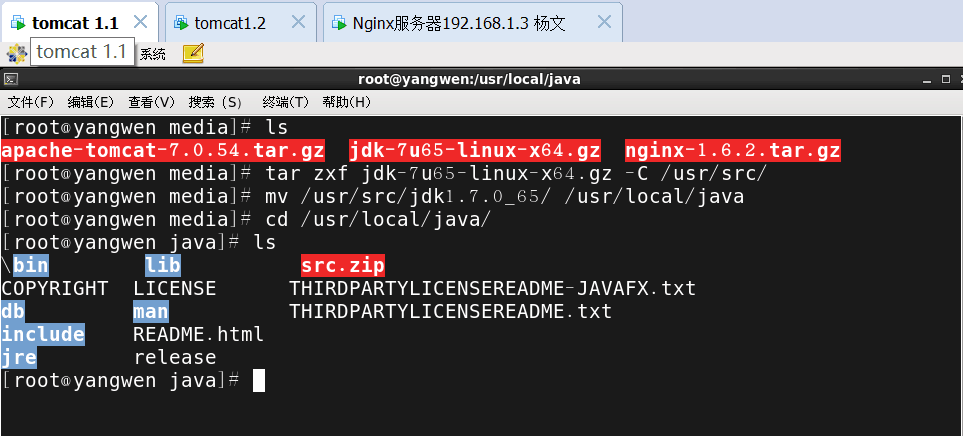 Nginx+Tomcat负载均衡集群_杨文