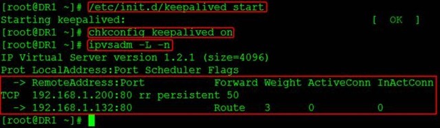 配置LVS + Keepalived高可用负载均衡集群_阿里集团_11