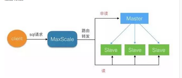 使用 MaxScale实现读写分离_maxscale