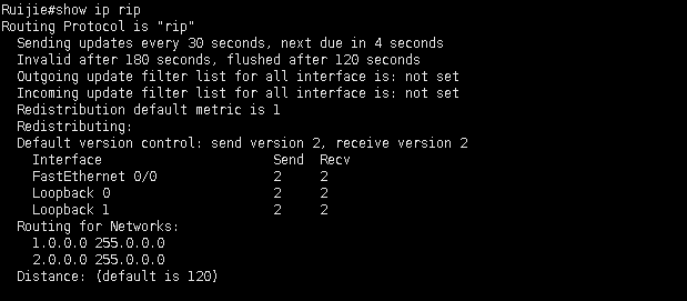 RIPv2配置_router_03