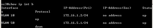 ospf协议的应用_交换机配置_05