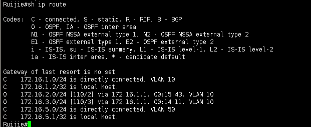 OSPF 基本配置_交换机_25