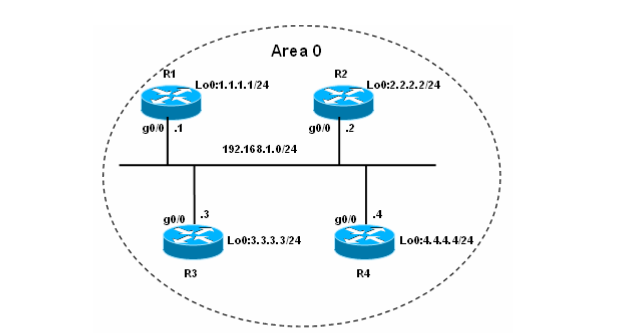 广播多路访问链路上的 OSPF_network