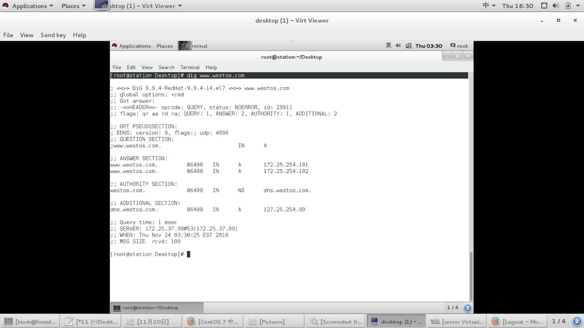 11-19,20笔记_dns_29