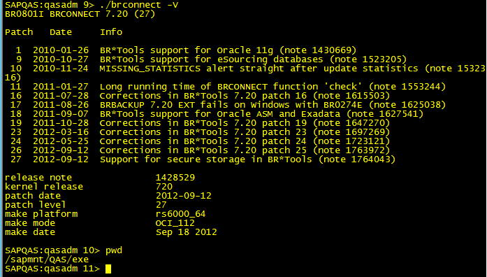 SAP ECC6.0迁移升级到EHP6 on HANA过程_ECC_11