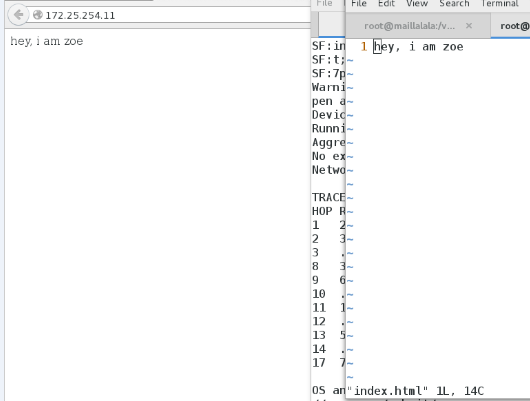 linux学习笔记10_空壳邮件_56