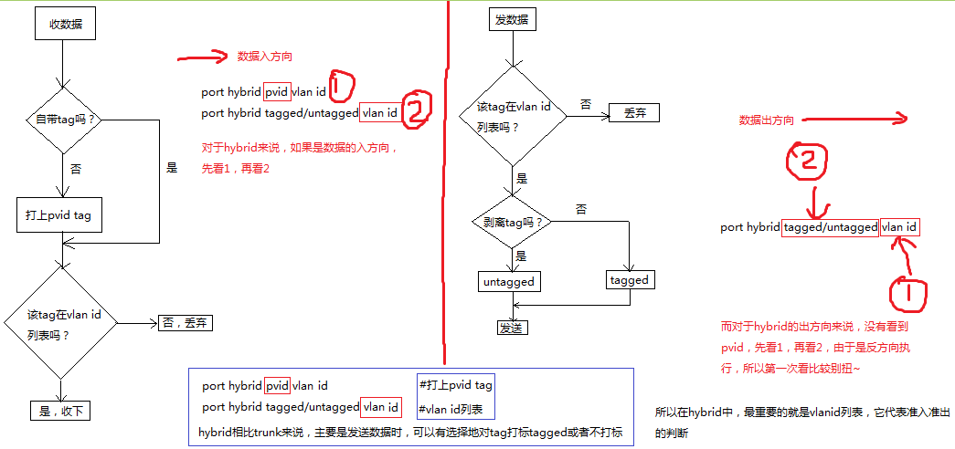 一张图明明白白hybrid_美女