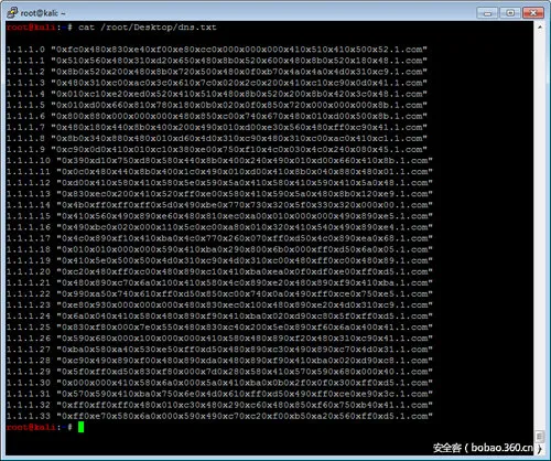 图5：dnsspoof用来假冒DNS服务器的Dns.txt文件