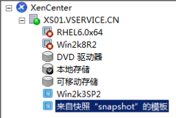 九、Citrix服务器虚拟化Xenserver虚拟机模版_Xenserver_09