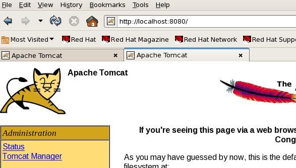 Tomcat6.0 for Linux X86_64 Install_tomcat安装_04