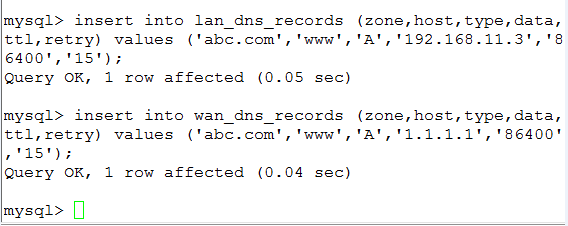 DNS服务器的搭建_local_07