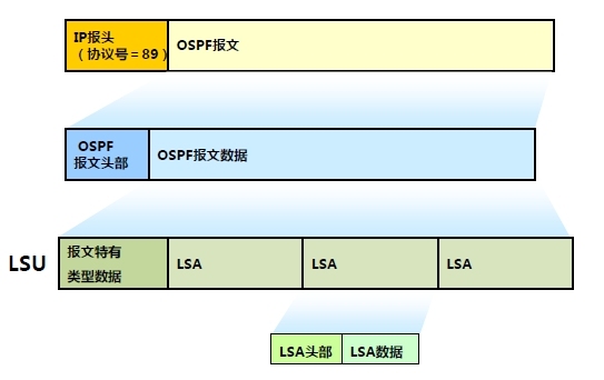 OSPF特殊区域及LSA详解 OSPF高级功能及实现_接口