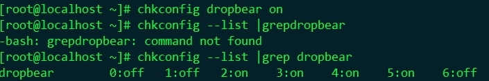 编译安装bind与dropbear_Linux、DNS、Dropbear、远_06