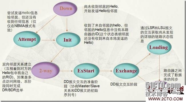 关于OSPF邻居的一切，原创！_OSPF 建立邻居_02