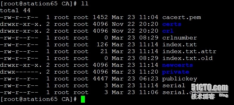 openssl+httpd实现服务器端的证书创建，自签以及客户端的证书申请_openssl 证书 pki _04