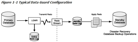 Oracle Data Guard(1)_Oracle、Data Guard