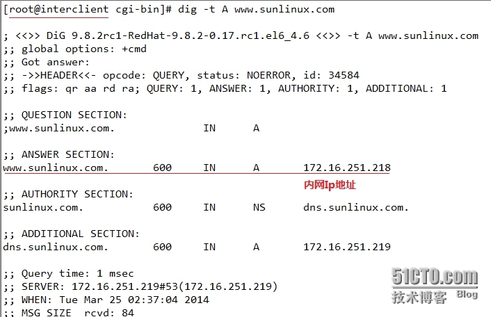 iptables地址转换机制实例_DNS_05