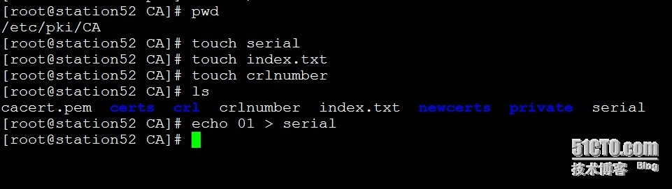 httpd-2.4.9.tar.bz2的编译安装配置以及CGI、虚拟主机、https、mod_deflate、mod_status的实现。_CGI、虚拟主机、https、mod_d_21