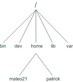 Linux入门 Part2: 目录操作(1) - 目录结构_linux