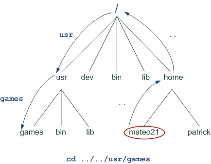 Linux入门 Part2: 目录操作(4) - cd 切换路径_ cd_04