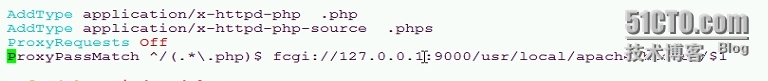 lamp实现fastcgi功能_fstcgi_05