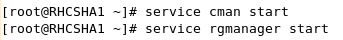 RHEL5.5配置RHCSHA集群_标签_47