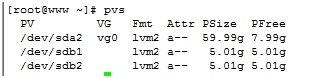 Linux之LVM_mount_05