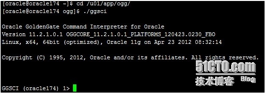 oracle GoldenGate实战安装_ogg_10