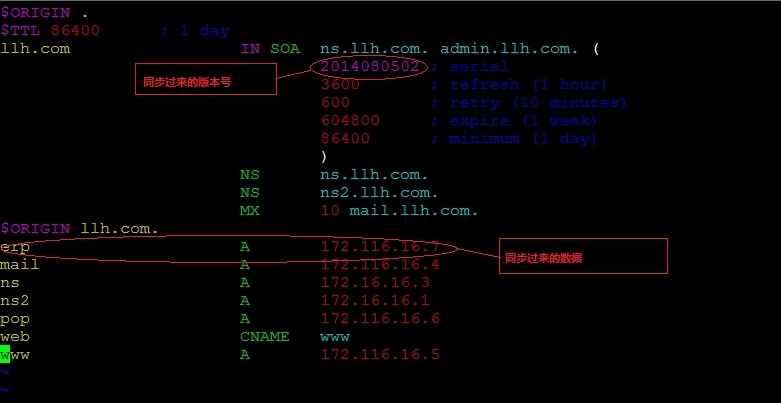 Linux之DNS多种服务搭建_DNS_13