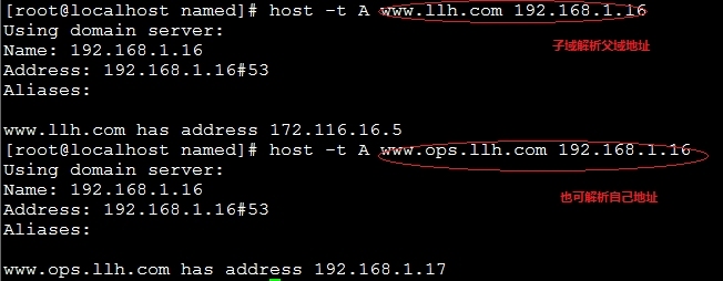Linux之DNS多种服务搭建_DNS_21