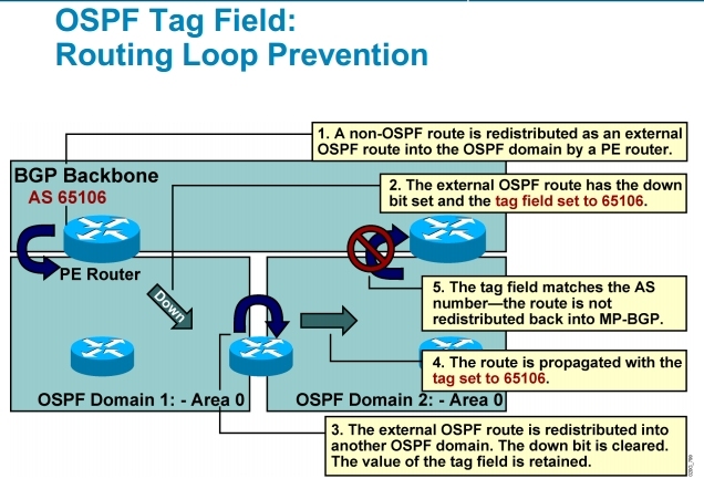 CCIE学习笔记之MPLS与MPLS ×××_MPLS_VPN_03