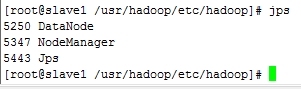 hadoop2.2完全分布式高可靠安装文档_hadoop_11