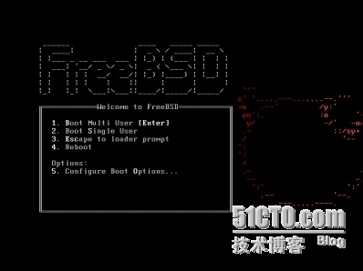 新安装的FreeBSD服务器问题解决方法_FreeBSD