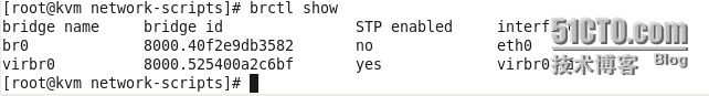 初识kvm之kvm环境配置_br0_07