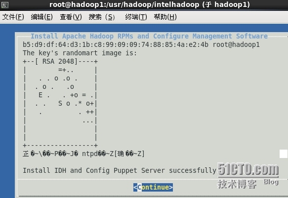 Apache Hadoop* 软件的英特尔® 分发版环境搭建_hadoop_17