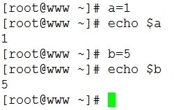 Linux Shell基础学习(一)_编程语言