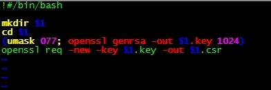 openssl 签发证书 失败 生成空的证书_openssl_02