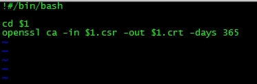 openssl 签发证书 失败 生成空的证书_CA_03