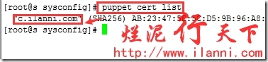 烂泥：puppet3.7安装与配置_安装_61