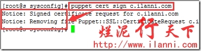 烂泥：puppet3.7安装与配置_puppet_62