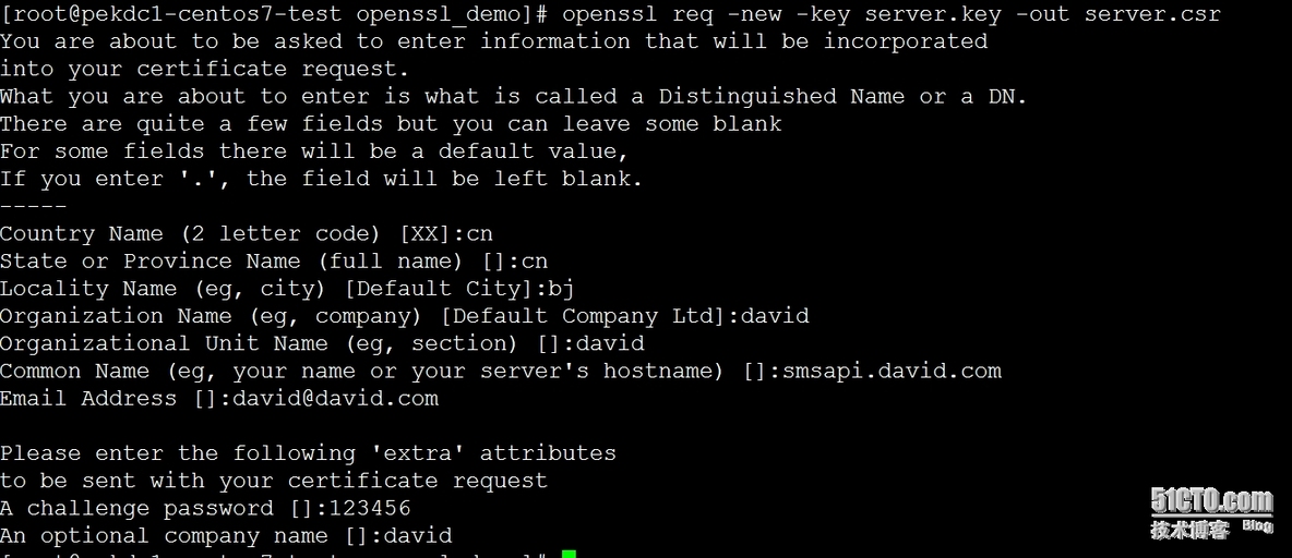 Nginx + openssl  搭建https服务_输入密码_03