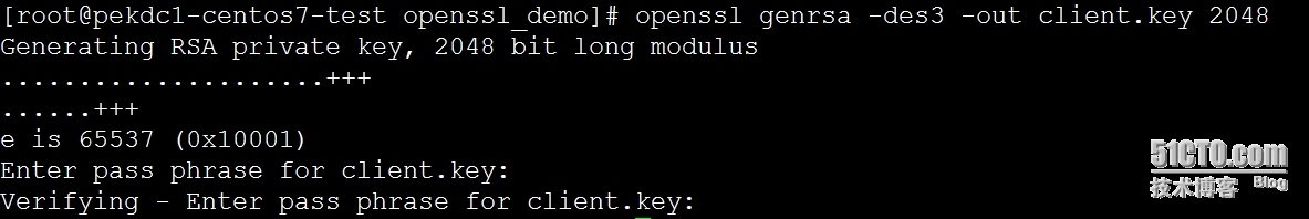 Nginx + openssl  搭建https服务_输入密码_04