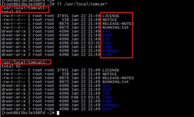 Docker构建Nginx+Tomcat动静分离架构_local_03