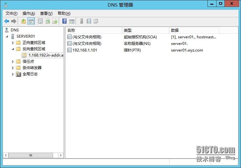 DNS反向查找区域之反向指针记录_反向指针记录_15