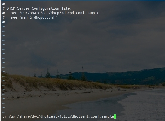 Linux下DHCP配置_Linux_02