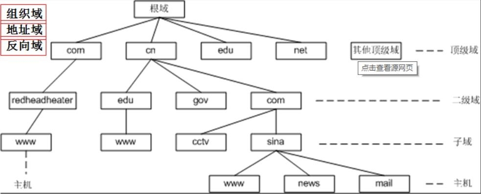 linux虚拟机玩转DNS_虚拟机