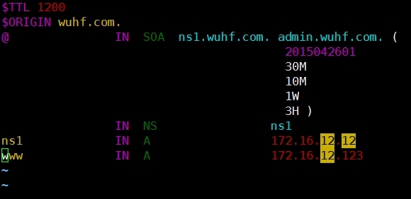 linux虚拟机玩转DNS_linux_27