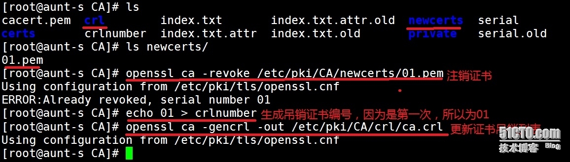 加密、解密，以及OpenSSL建立私有CA_以及OpenSSL建立私有CA_08