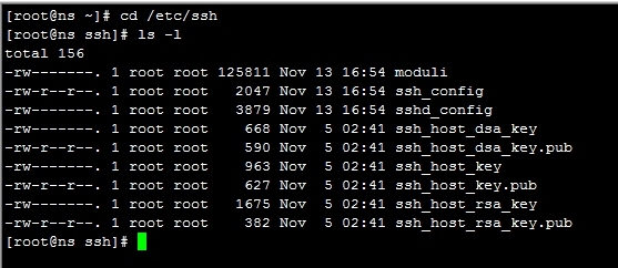 利用OpenSSH实现基于秘钥的认证_密钥_04