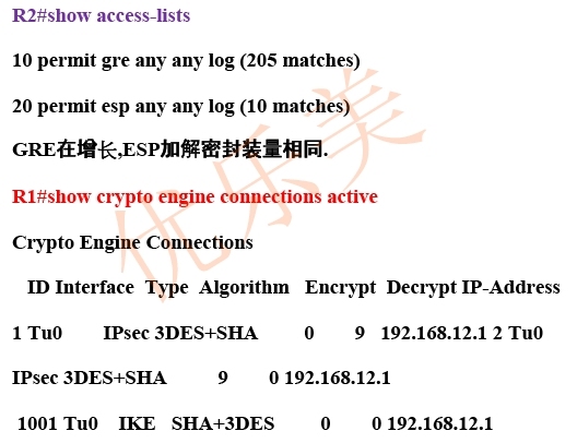 IPSec over GRE_IPSec over GRE_16